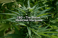 Facts that Prove CBD is the best Medicinal Marijuana