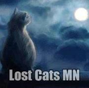 Lost Cats MN