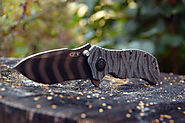 Best Tactical Knife - Reviews & Buying Guide