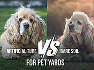 Why Artificial Turf in Atlanta is Pet-Friendlier Than Natural Grass