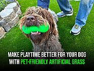 Make Playtime Better for Your Dog with Pet-Friendly Artificial Grass