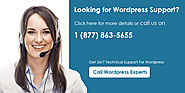 Wordpress Technical Support - 1-877-863-5655 | Wordpress Tech Support
