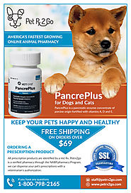 6 Reasons to Give Your Dog Pancreplus
