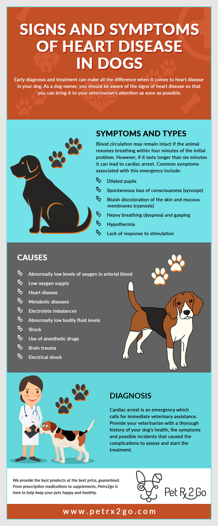 Protect your pet from deadly diseases A Listly List