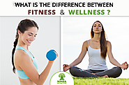 What is the difference between Fitness and Wellness? | Nimba Nature Cure Village