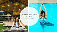 Journey of Wellness Bloggers at Nimba – Part VII