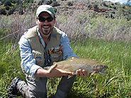 Are you looking for best guided fly fishing and float trips?