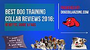 Best Dog Training Collar Reviews 2016