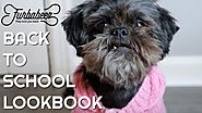 BACK TO SCHOOL LOOKBOOK (DOG EDITION) + GIVEAWAY