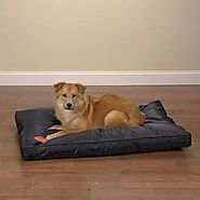 Chew Proof Dog Beds | Furbabeez