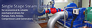 SINGLE STAGE STEAM TURBINES for economical and reliable machanical drives - Kessels Steam Turbines