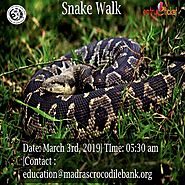 snake walk chennai | Online entry by Entryeticket