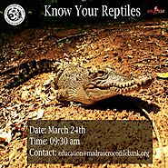 Know Your Reptiles! | Bookings available on Entryeticket