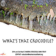 What's That Crocodile? | Bookings open on Entryeticket.com