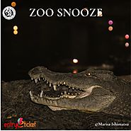 Zoo Snooze 2019 |Online entry available on Entryeticket