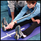 Slide show: A guide to 10 basic stretches - MayoClinic.com