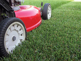 Properly Mow Your Lawn