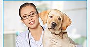 Causes and Cure of Congestive Heart Failure in a Dog