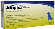 Atopica for Dogs – Safe or Unsafe?