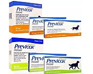 Previcox for dogs - Uses and Side Effects