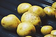 Ziemniaki o białym i żółtym miąższu