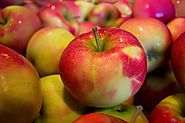 Jonagold - jesienna odmiana jabłek