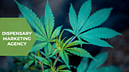 Your guide to create a digital dispensary marketing strategy beyond 2021