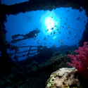 Egypt Red Sea Scuba Diving