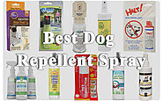 The Best Dog Repellent Spray of 2017 to Keep Your Dog Away