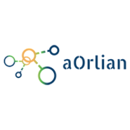 Orlian Technology Group - Leveraging Social Media Properly for Your Business