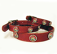 Designer Dog Collars