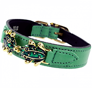 Limited Offer In Dog Collars Buy Now