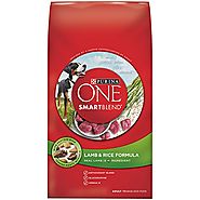 Purina ONE SmartBlend Lamb & Rice Formula Dry Dog Food