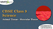 Class 9th Science – Animal Tissue – Muscular Tissue