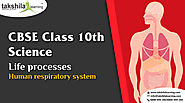 Life processes Chapter 1 - Human respiratory system for 10th Class Science