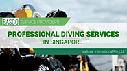 Professional Diving Services in Singapore