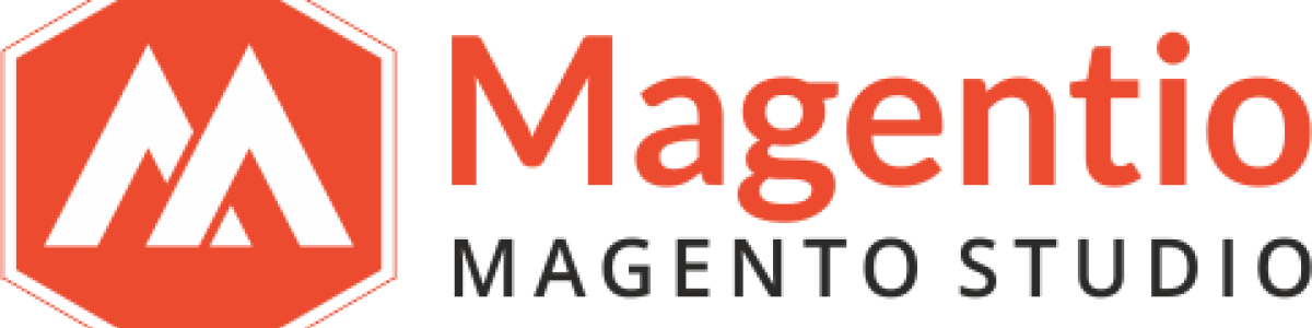 Headline for Magentio web development
