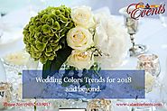 Colors to Paint Weddings in
