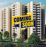 Stellar One Phase 2 - Sector 1 Noida Extension