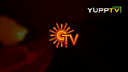 Sun TV Live | Watch Sun TV Tamil Live Streaming Online
