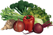 Negative Calorie Foods Vegetables List