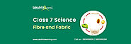 Class 7 Science Chapter 3 Fibre and Fabric