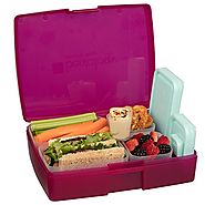 Bentology Leak-proof Bento Lunch Box with 5 Removable Containers, Translucent Raspberry