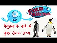 🐧Interesting Facts about Penguins | Habitat of Penguin | Animal Information for Kids | Ciko se Sikho