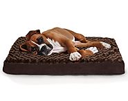 Best Dog Beds 2017 (August. 2017)
