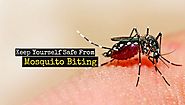 How to Keep Yourself Safe from Mosquito Biting During Monsoon in Kolkata