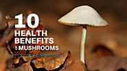 10 Health Benefits Of Mushrooms