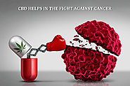 How CBD Helps in the Fight against Cancer?