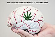 The Best Promising Result CBD in Strock Recovery