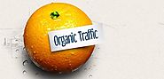 Want More Organic traffic? Follow these Techniques